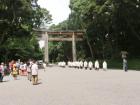 神宮の杜は１００年先天然更新の人工林