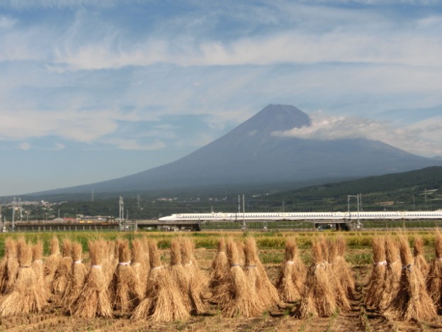 稲刈りと富士山と新幹線