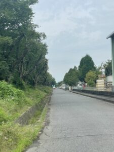 工業団地北側の沼川沿い桜の枝祓い